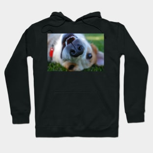 All Play on Labor Day Hoodie